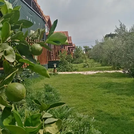 Apartment Riviera Evleri 3 *